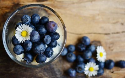 Blueberries and Their 5 Health Benefits